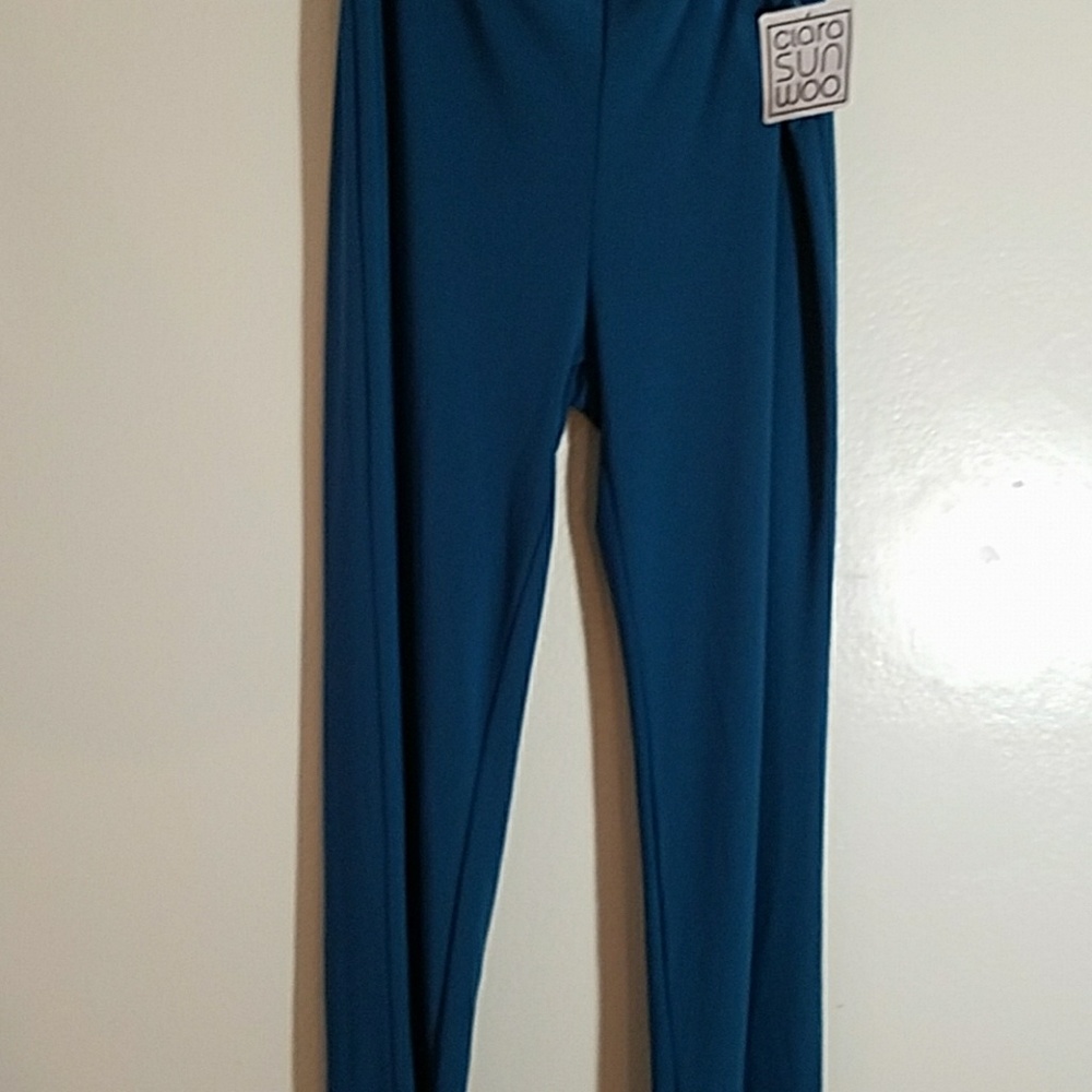 Clara sun woo pants